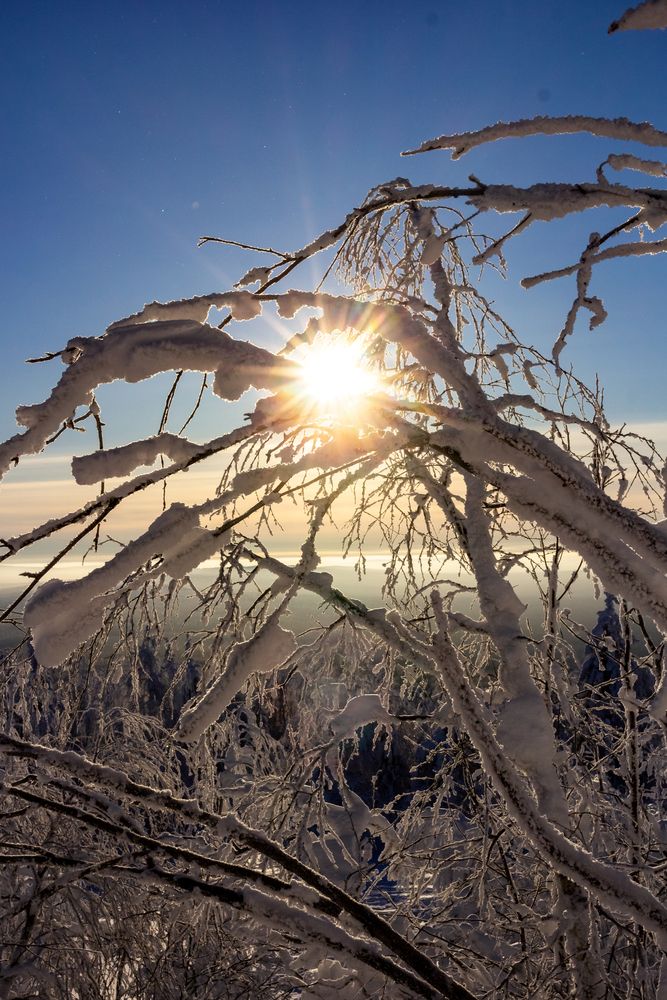Photograph by Нина Пашина