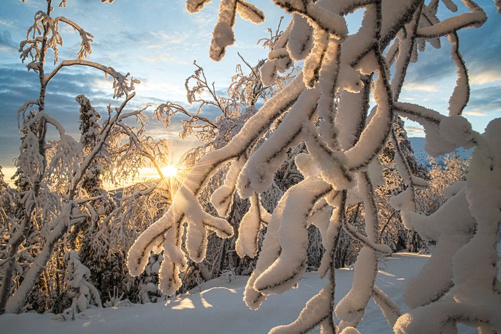 Photograph by Юрий Платухин