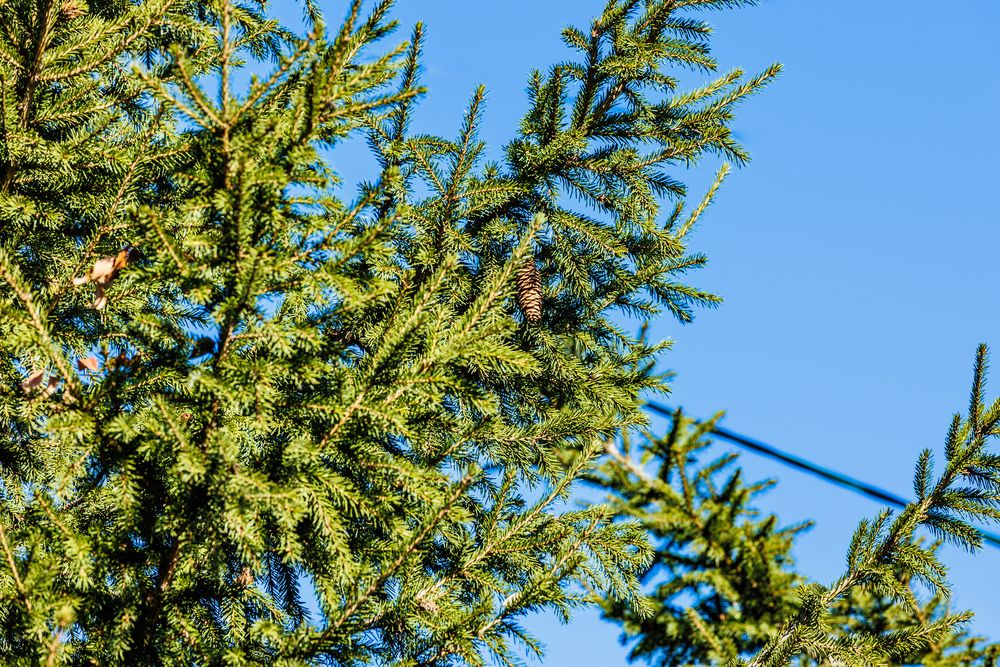 Photograph by Коптелов Виктор