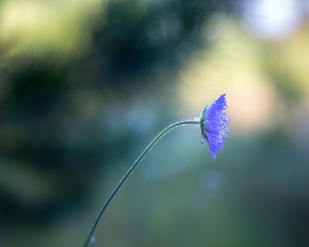 Photograph by Людмила Завьялова