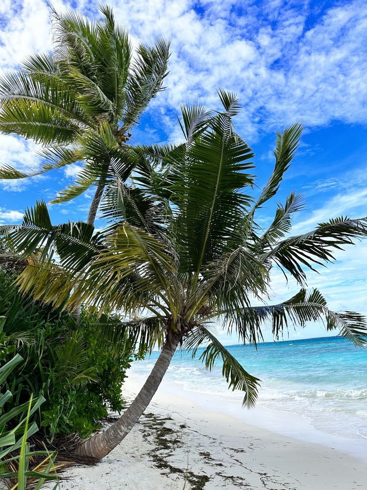 Photograph by Меруерт Айманова