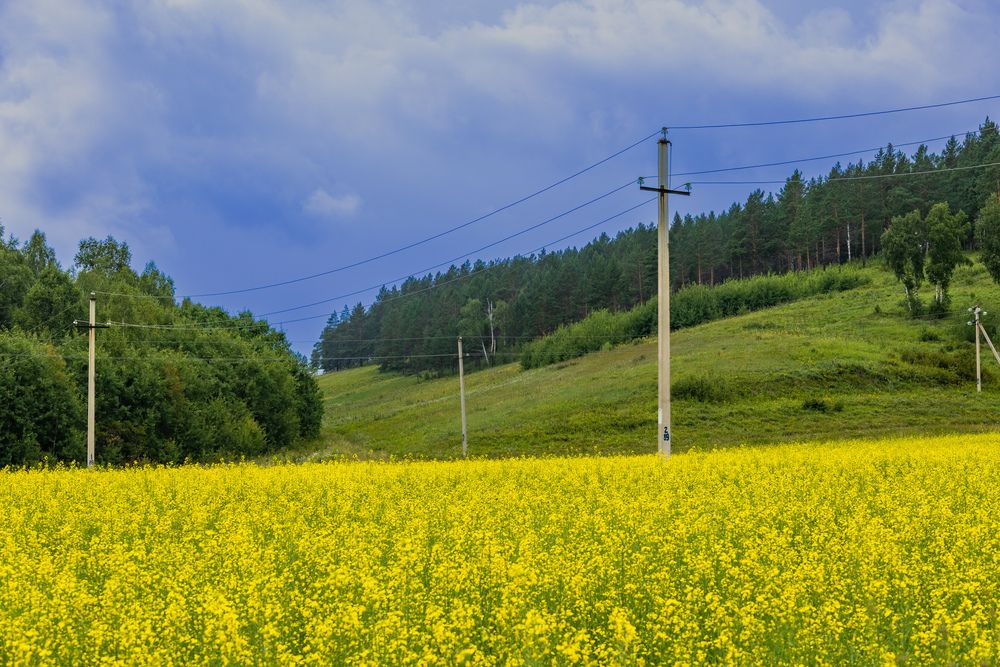 Photograph by Коптелов Виктор