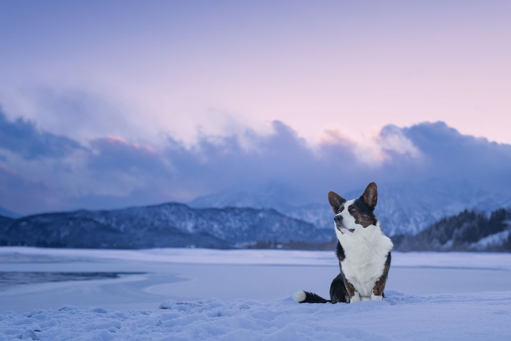 Photograph by Daniela Schmid