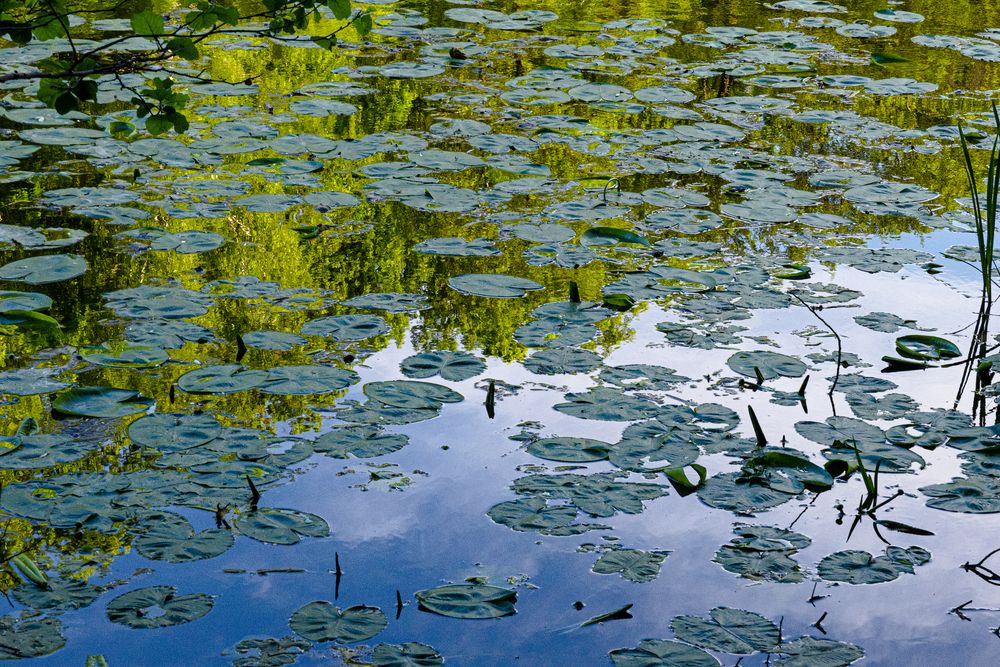 Фотография автора Ирина Гриценко