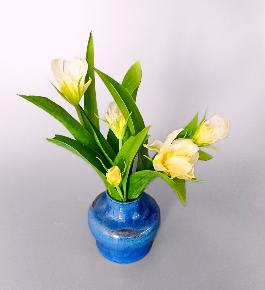 Фотография автора Rafa