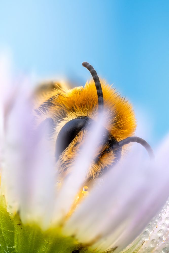 Фотография автора Глеб Коровко