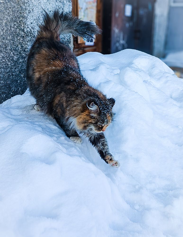 Photograph by Алсу Хасанова