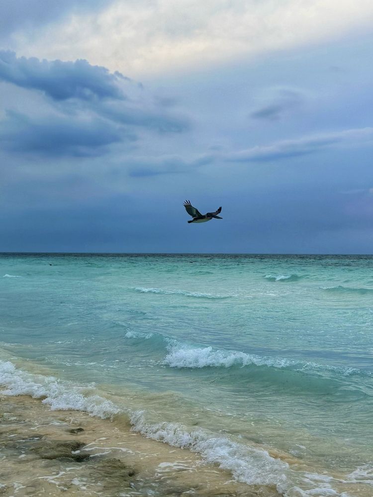 Photograph by Наталья Семенова