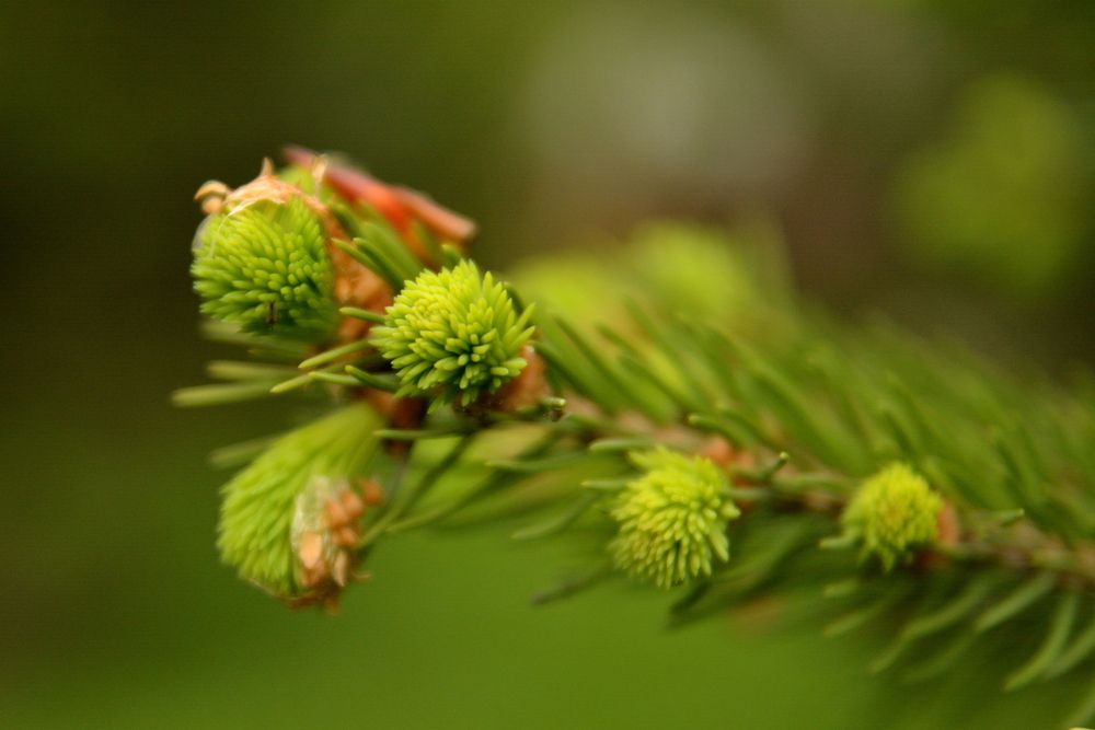Photograph by Александра Ватутина