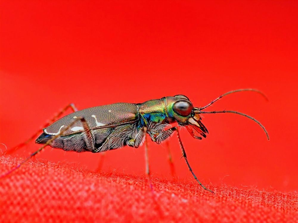 Photograph by Dharmendra Padhiyar