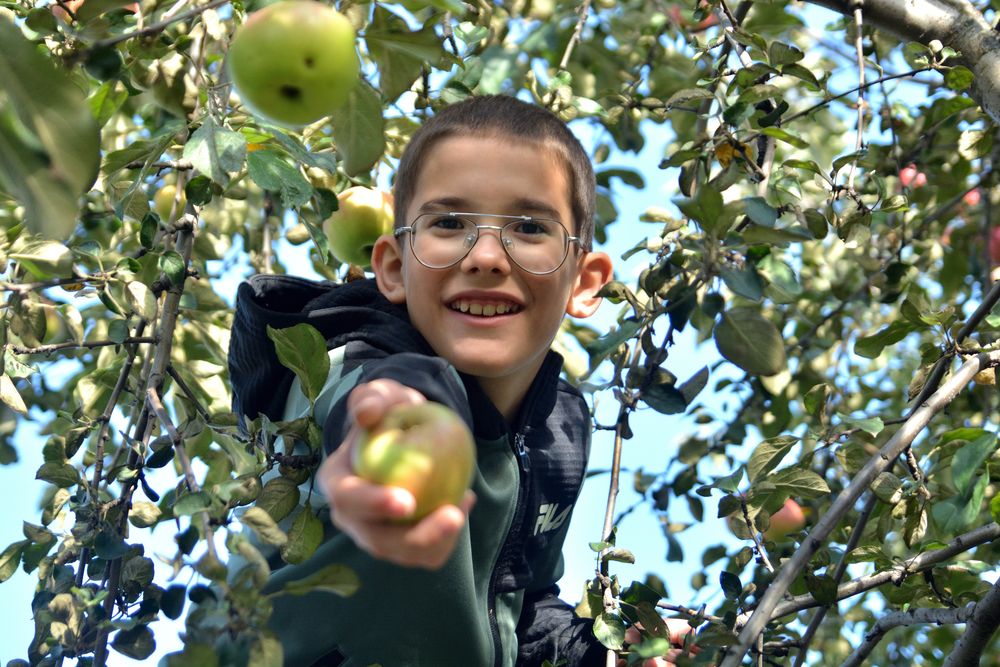 Photograph by Александра Ватутина
