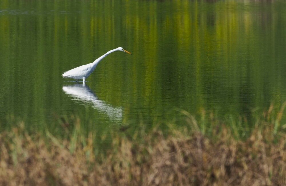 Photograph by Dharmendra Padhiyar
