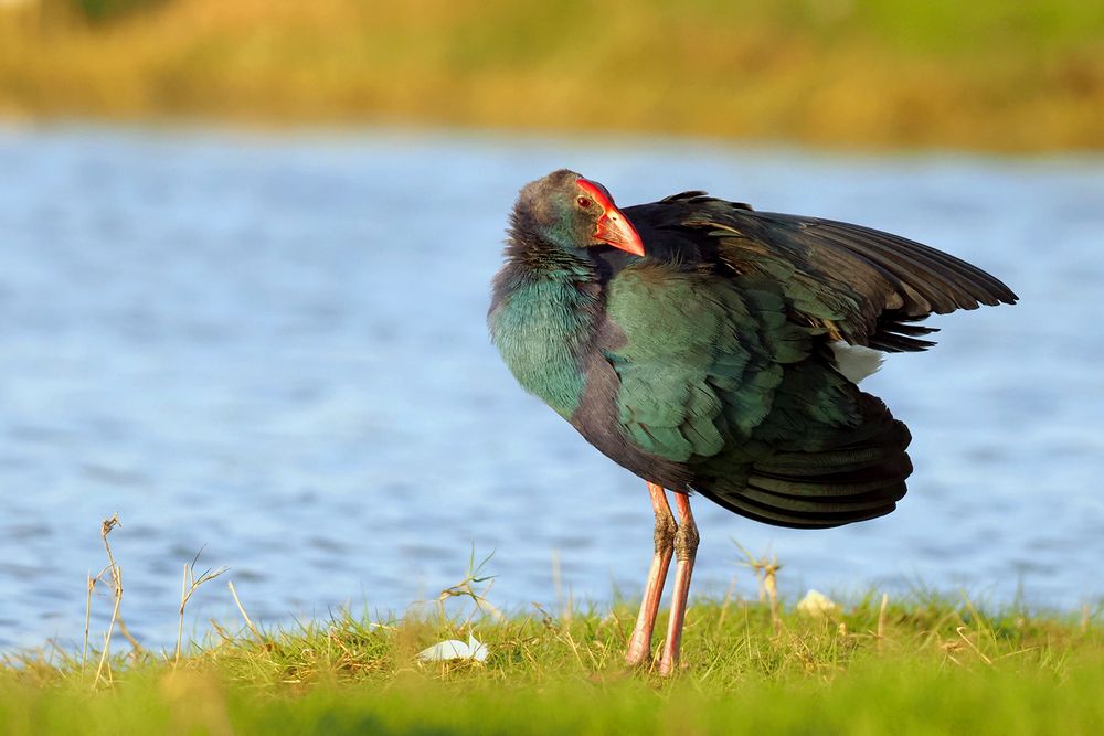 Photograph by Dharmendra Padhiyar