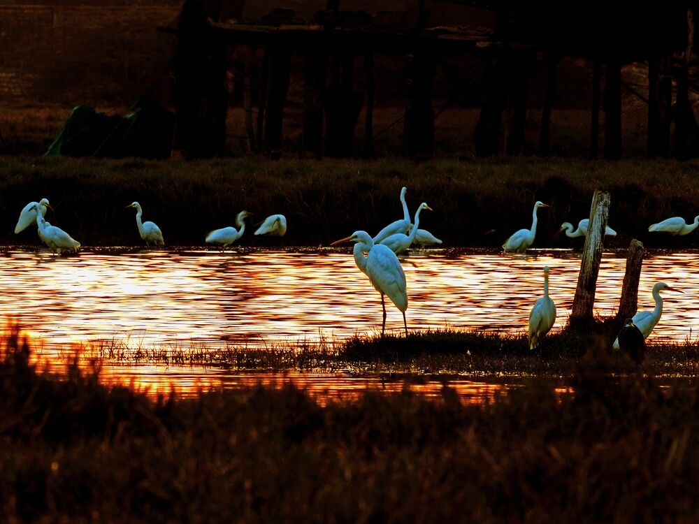 Photograph by Dharmendra Padhiyar