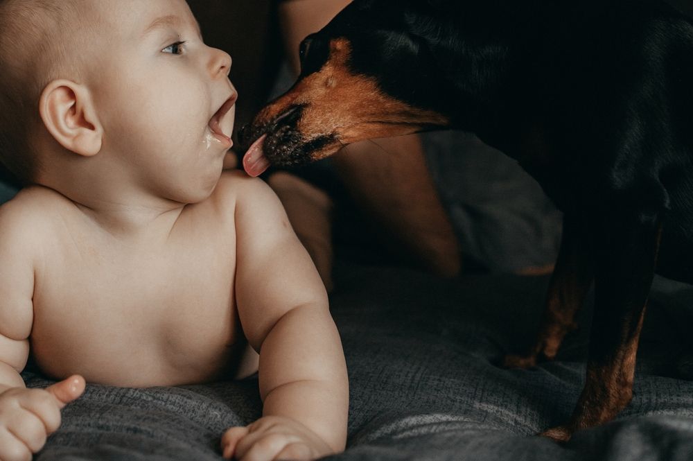 Photograph by Victoria Stepanova