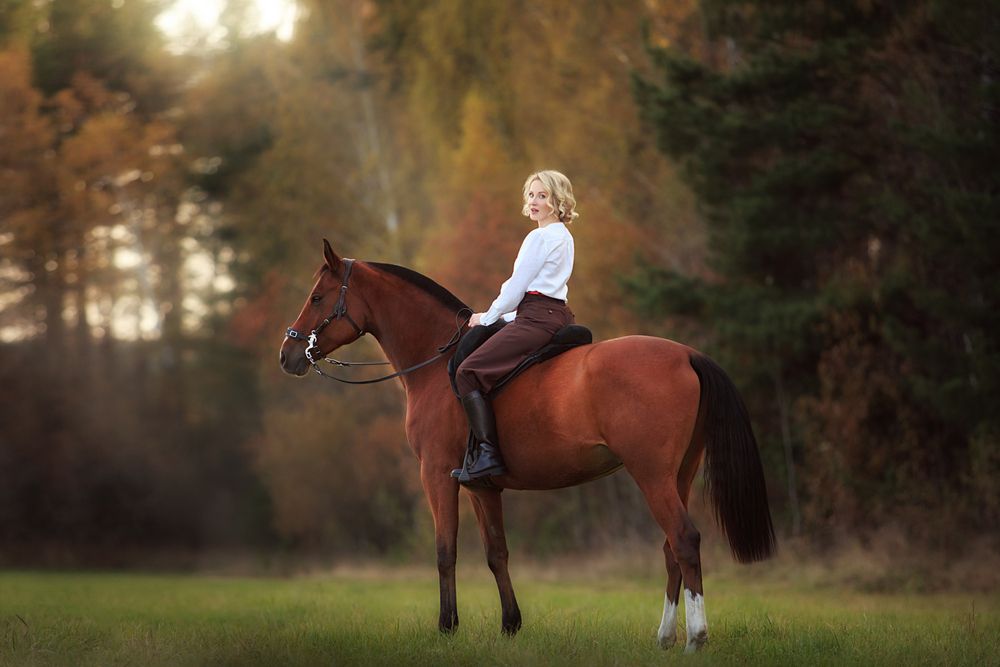 Фотография автора Дарья Ералева