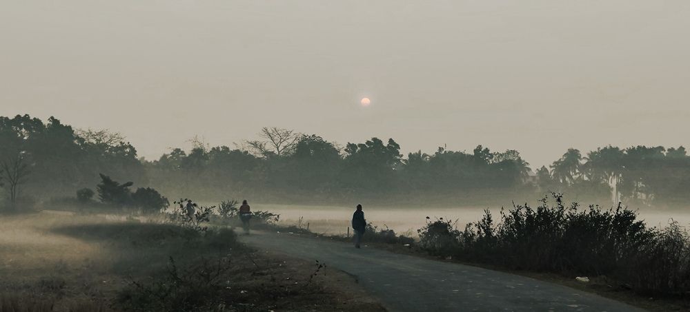 Winter Morning