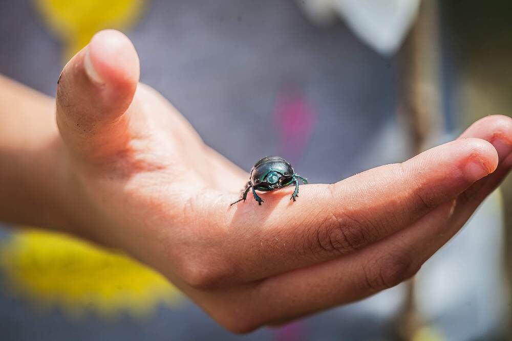 Photograph by Очева Наталья Александровна