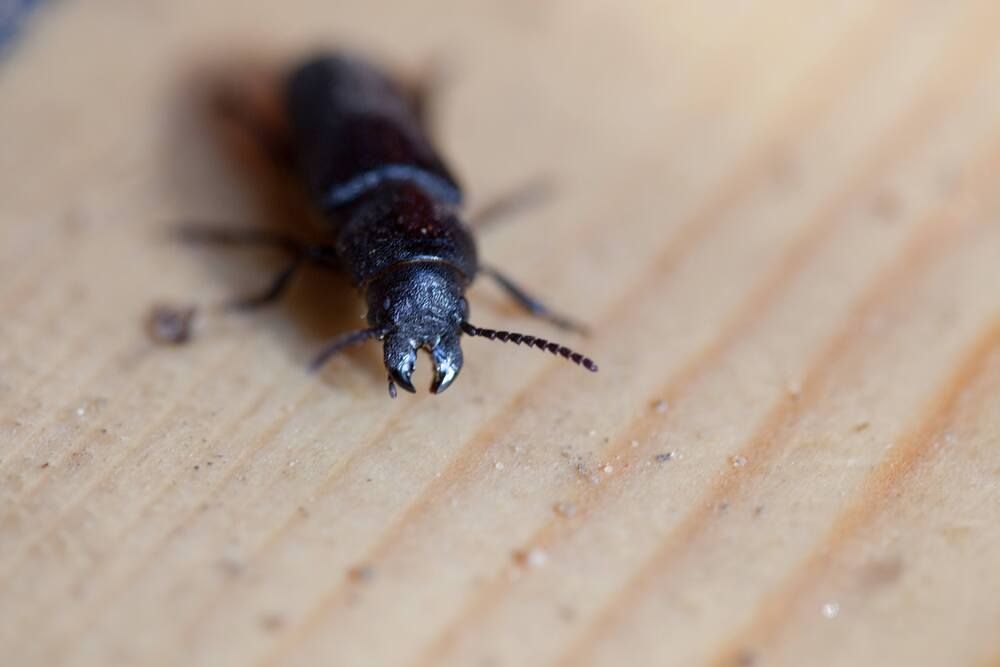 Photograph by Очева Наталья Александровна