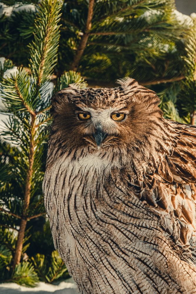 Фотография автора Павел Ващилов