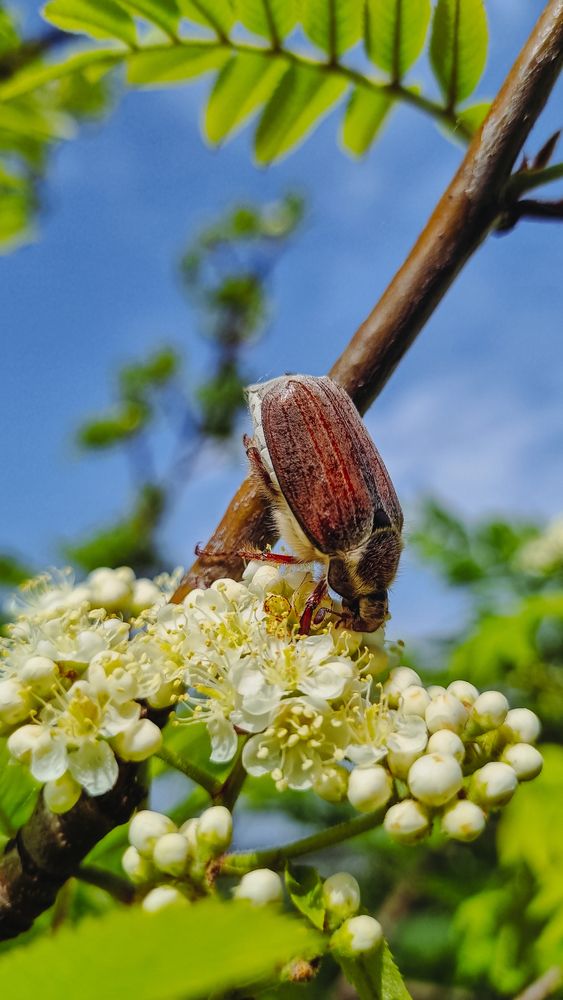 Photograph by Игорь Кабанов