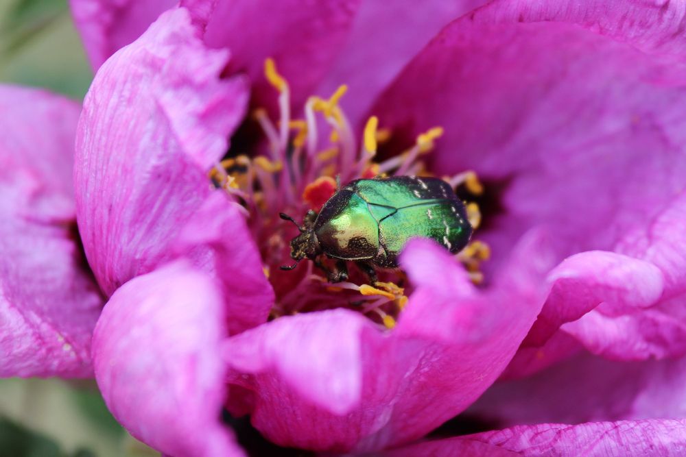 Фотография автора Татьяна Сычёва