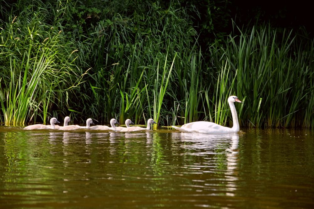 Photograph by Ирина Алексеева