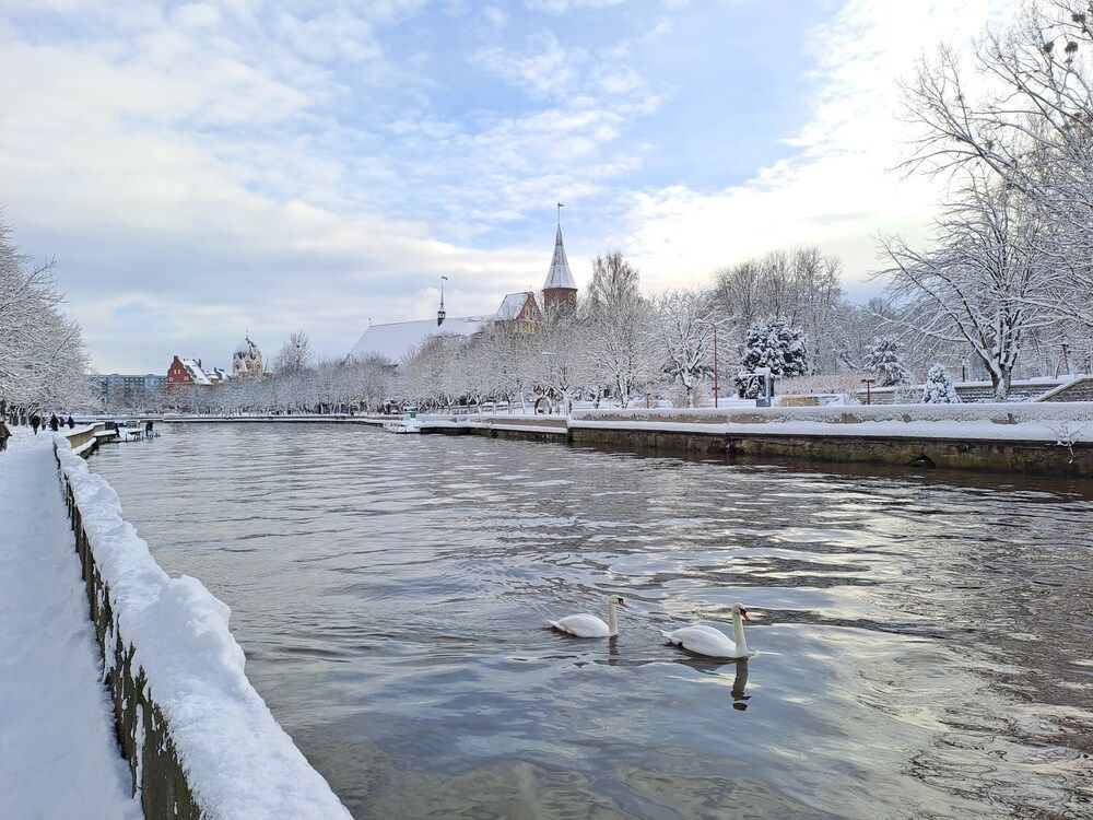 Photograph by Ирина Савельева