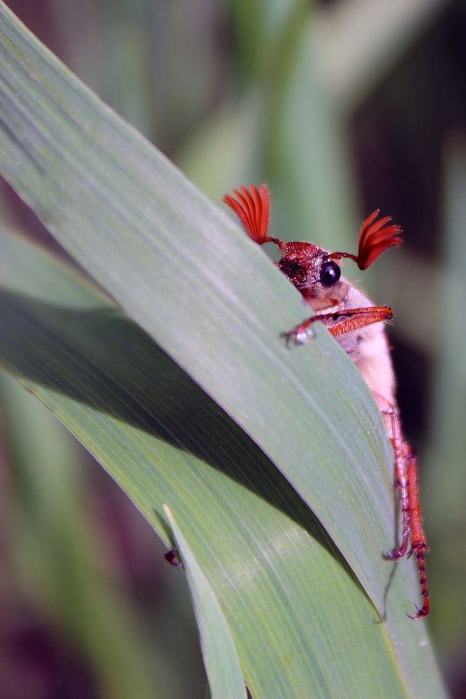 Фотография автора Татьяна Сычёва