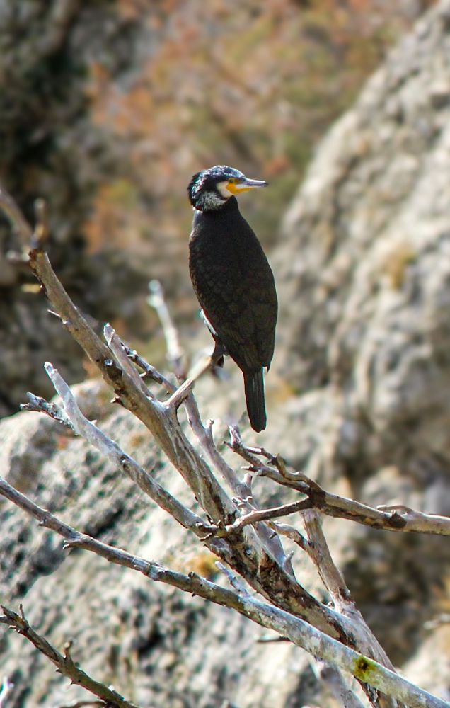 Photograph by Евгения Флиорчук