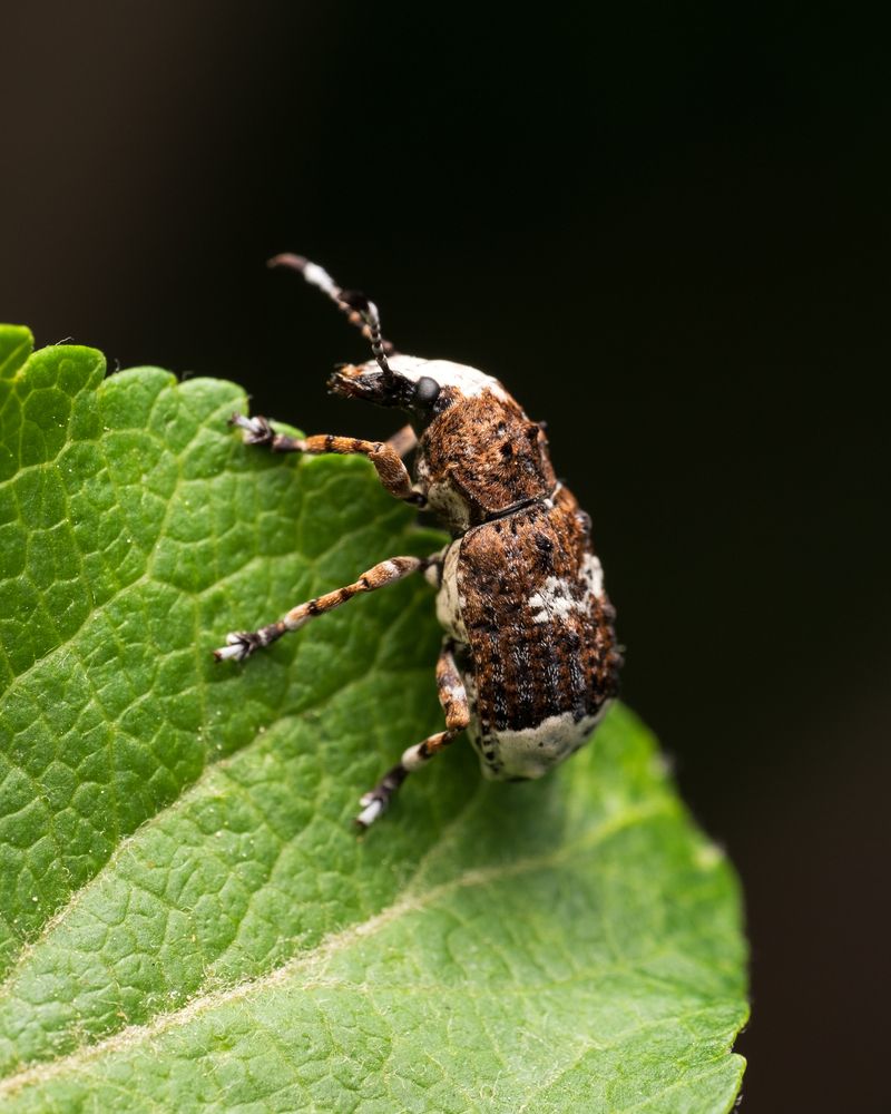 Photograph by Бодрягин Виталий