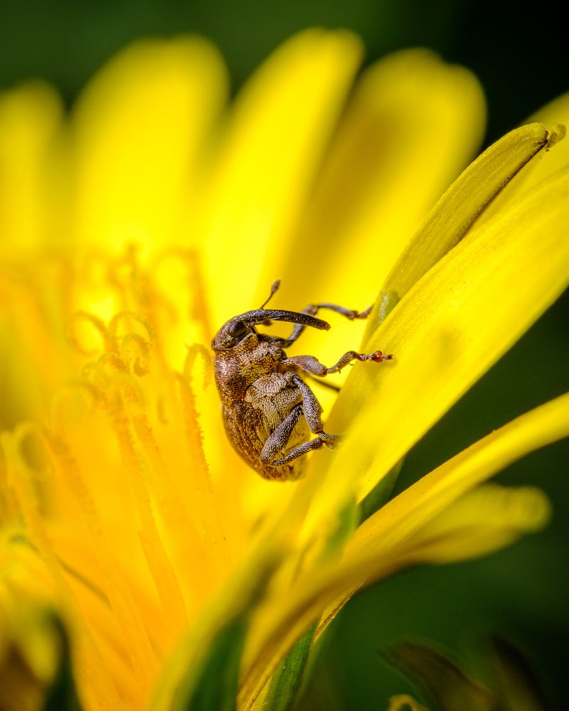 Photograph by Бодрягин Виталий