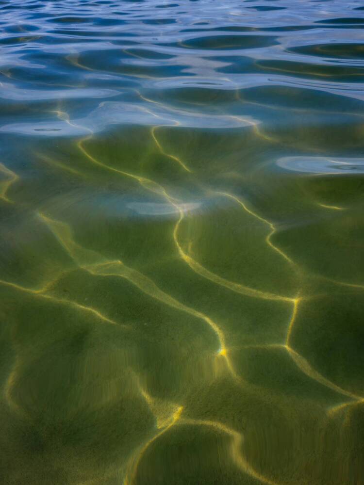 Photograph by Кристина Альшанская