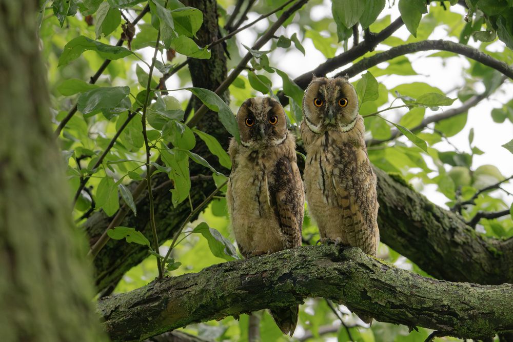 Photograph by Илья Горшенков