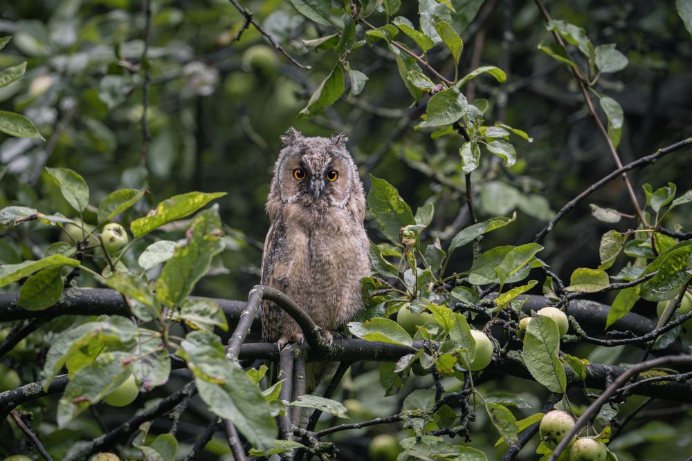 Photograph by Илья Горшенков