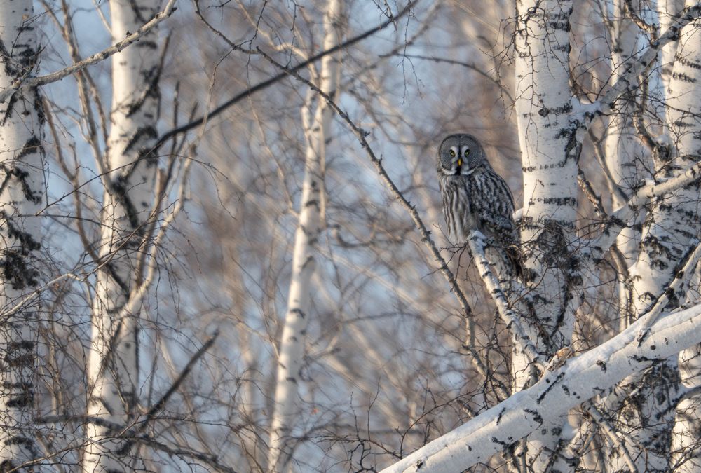 Photograph by Илья Горшенков