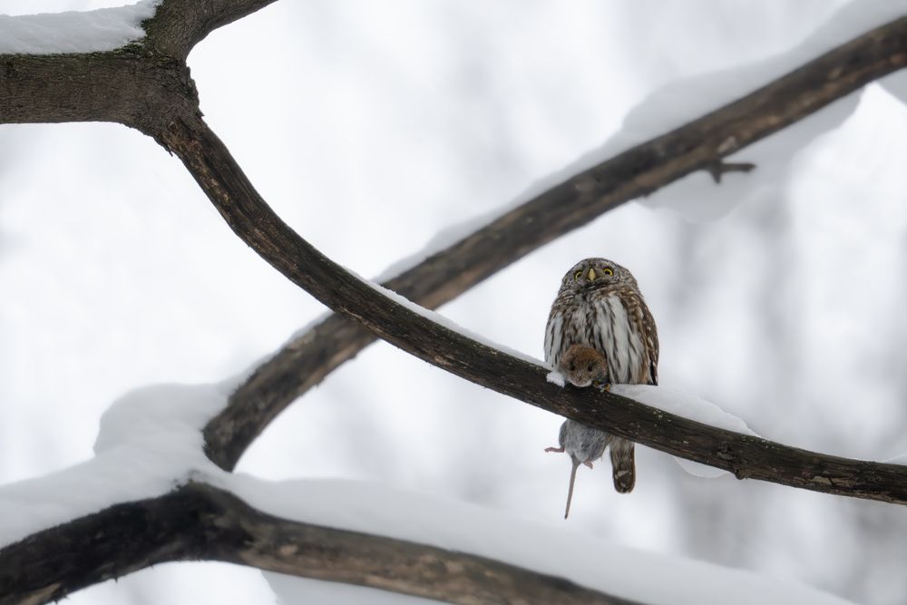 Photograph by Илья Горшенков