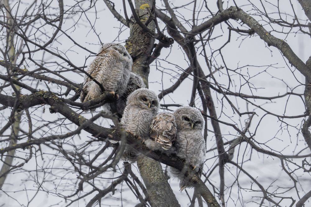 Photograph by Илья Горшенков