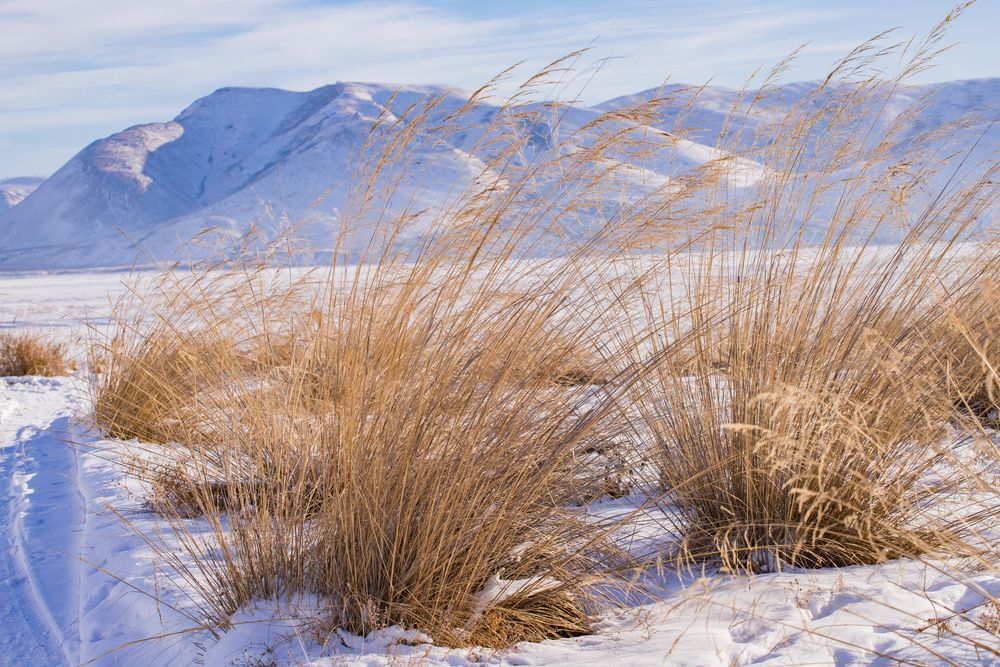 Фотография автора Константин Искучеков