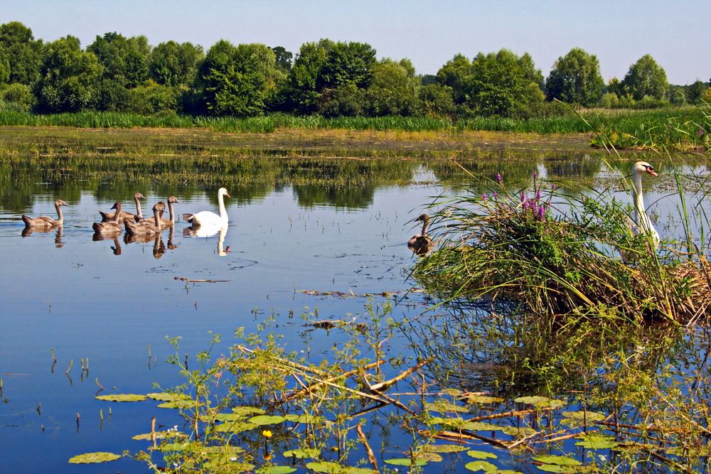 Photograph by ВЛАДИМИР Тертышник