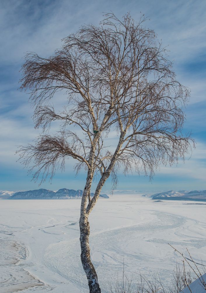 Фотография автора Константин Искучеков