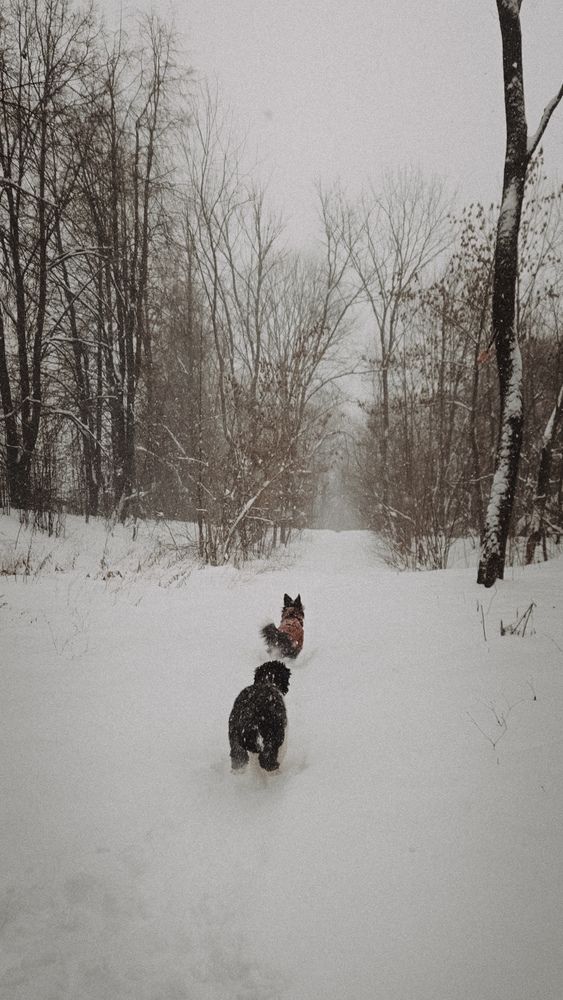 Photograph by Kate Entsi