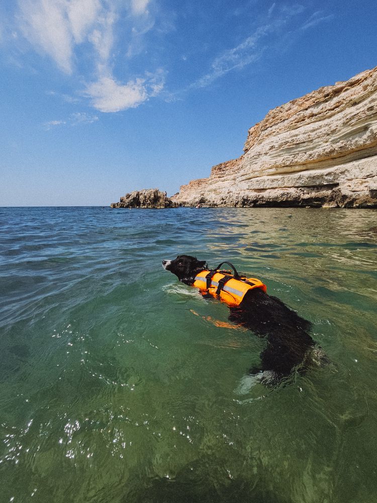 Photograph by Kate Entsi