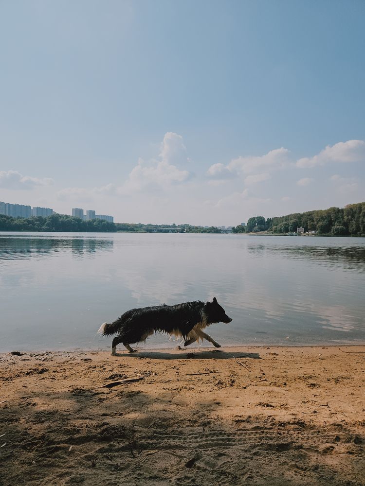 Photograph by Kate Entsi