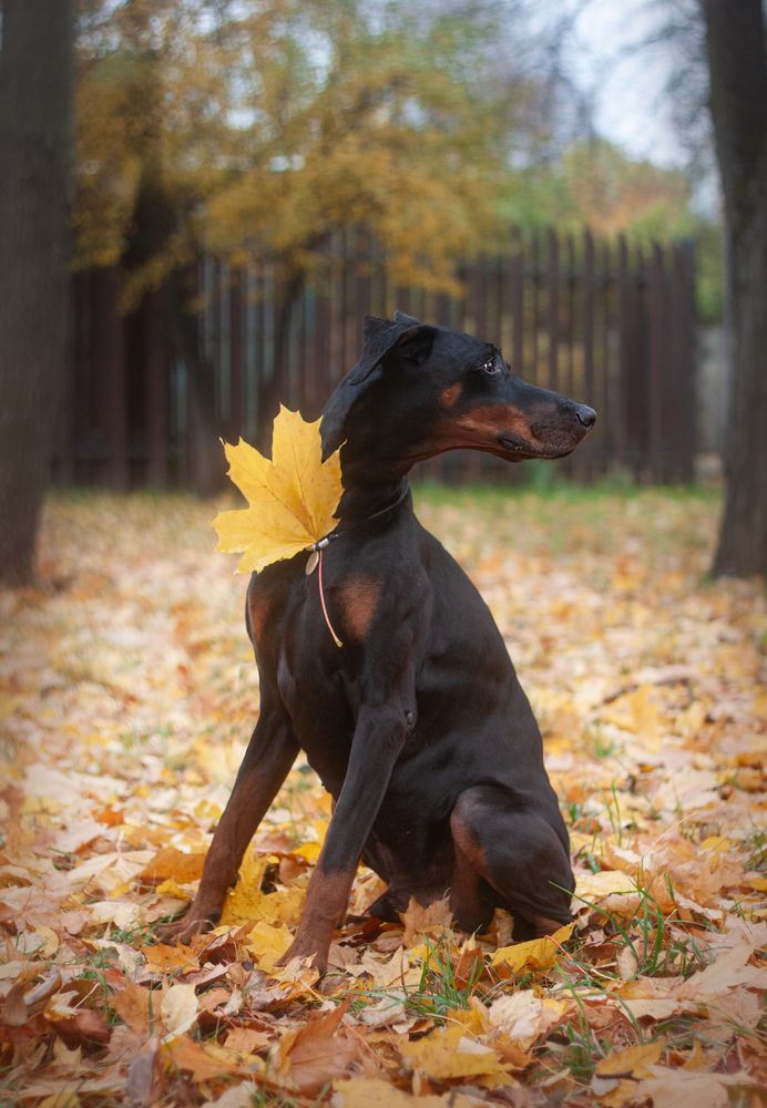 Photograph by Елена Иванова