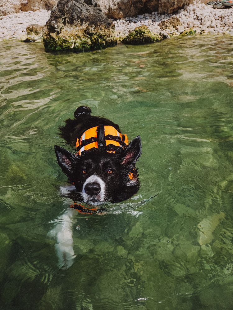 Photograph by Kate Entsi