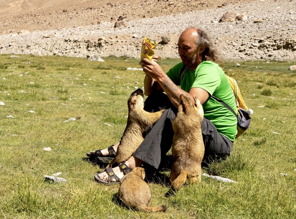 Photograph by Владимир Цветов