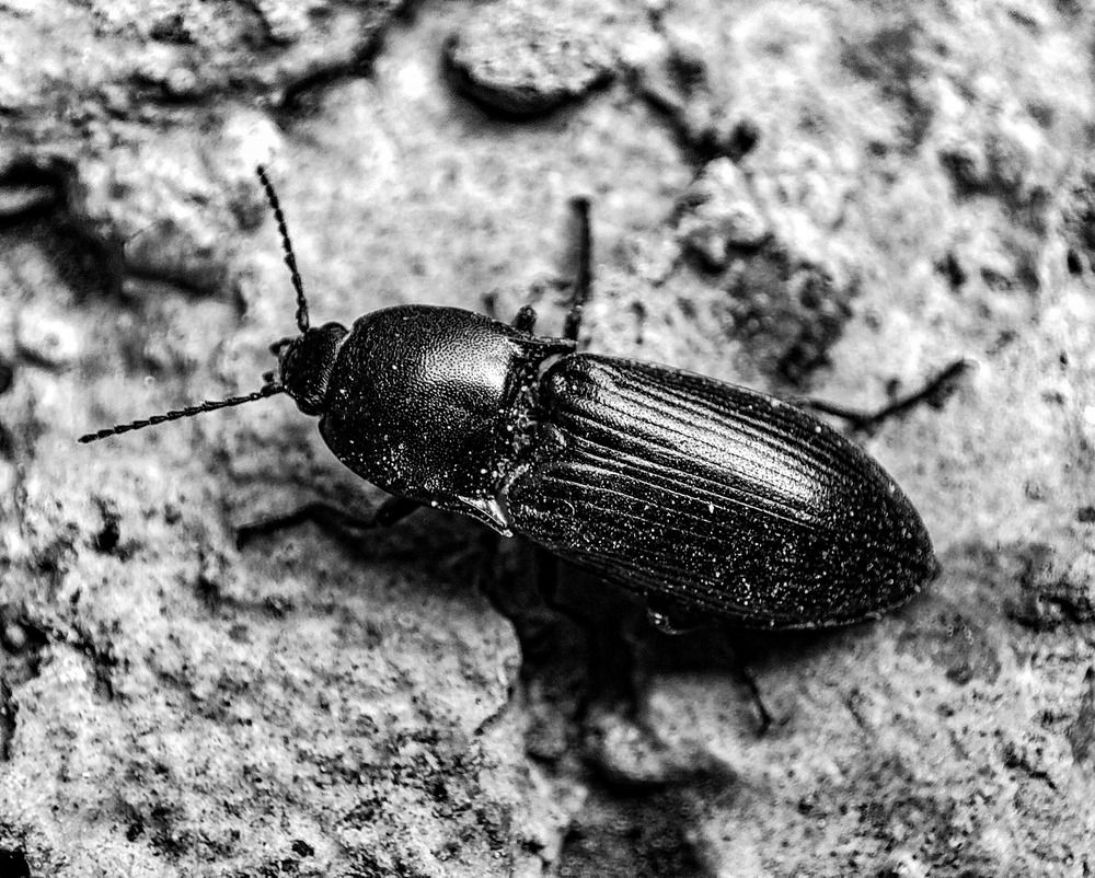 Фотография автора Nikita Ostarkov