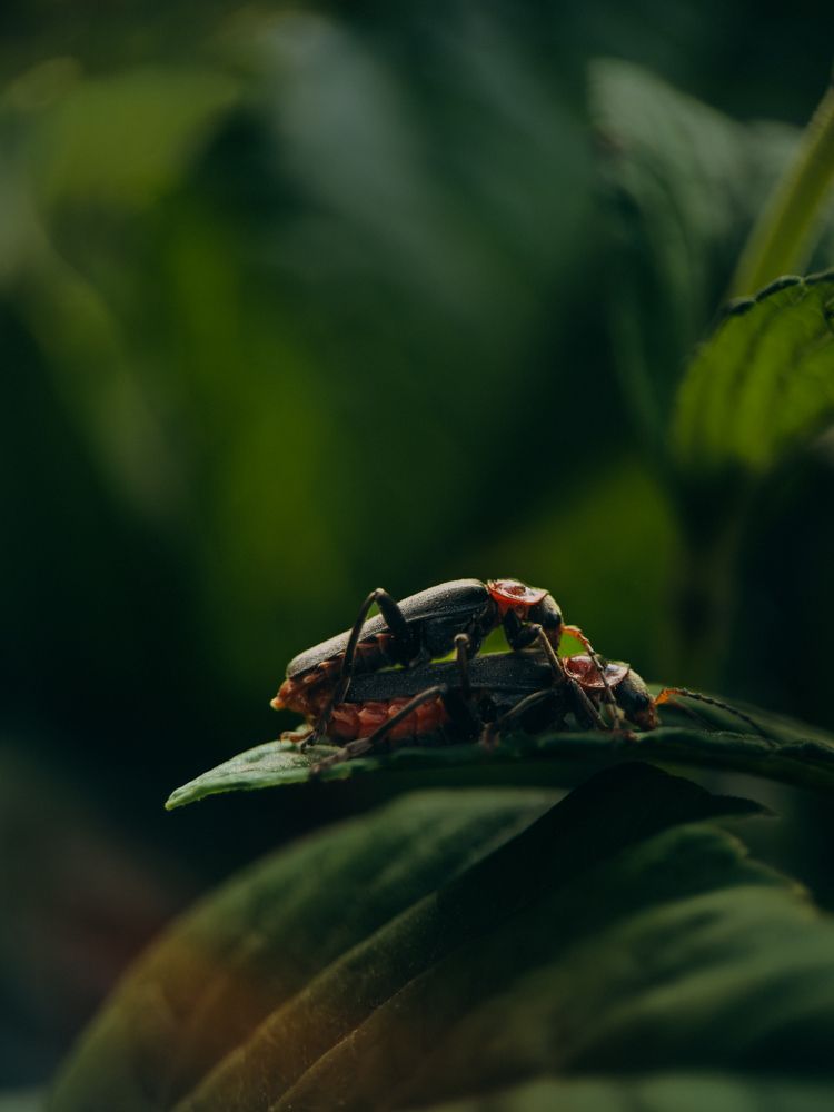 Photograph by ALISA NEZHINSKAYA