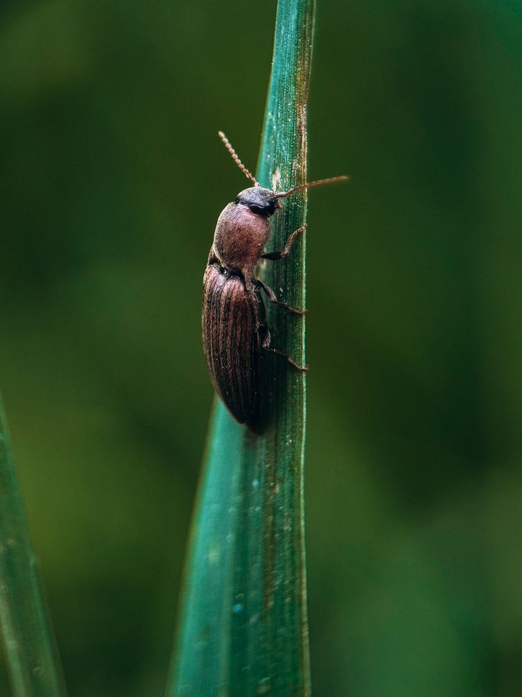 Photograph by ALISA NEZHINSKAYA